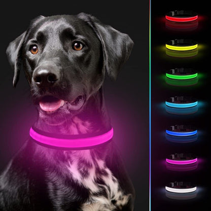 Proper Pets - USB Rechargeable LED Dog Collar with Luminous Safety Feature - Nylon - UK