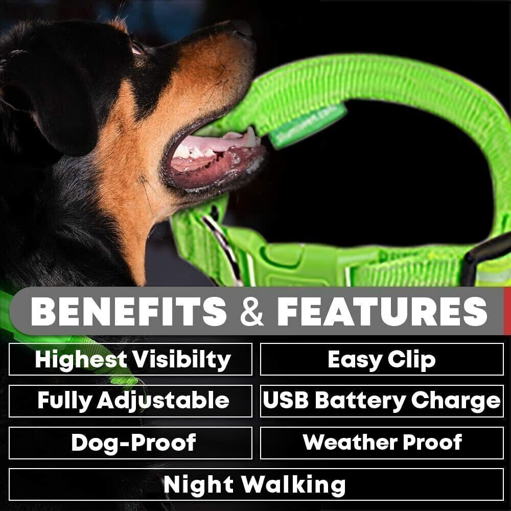 Proper Pets - USB Rechargeable LED Dog Collar with Luminous Safety Feature - Nylon - UK