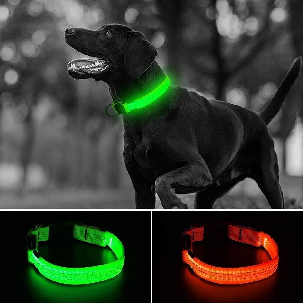 Proper Pets - USB Rechargeable LED Dog Collar with Luminous Safety Feature - Nylon - UK