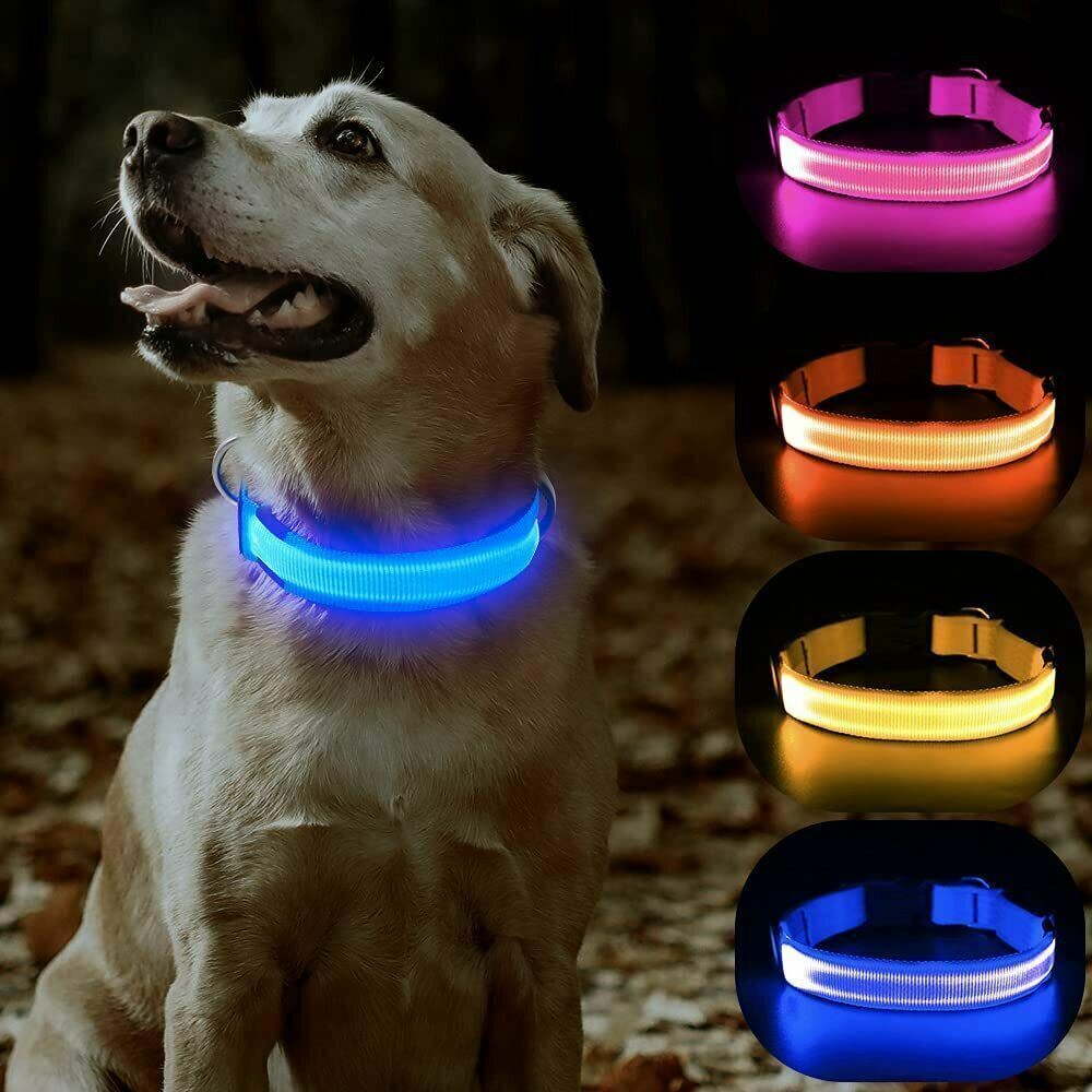 Proper Pets - USB Rechargeable LED Dog Collar with Luminous Safety Feature - Nylon - UK