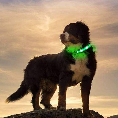 Proper Pets - USB Rechargeable LED Dog Collar with Luminous Safety Feature - Nylon - UK