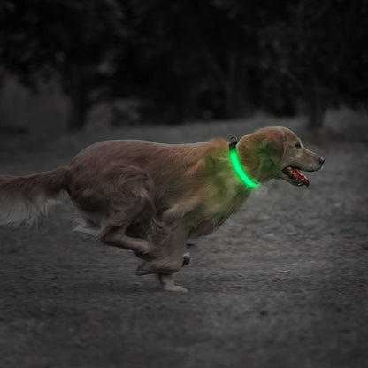 Proper Pets - USB Rechargeable LED Dog Collar with Luminous Safety Feature - Nylon - UK